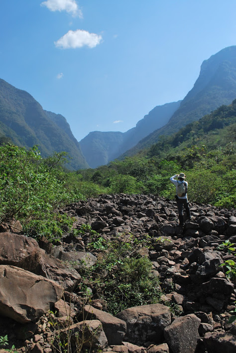 A origem do malacara - Cavalus