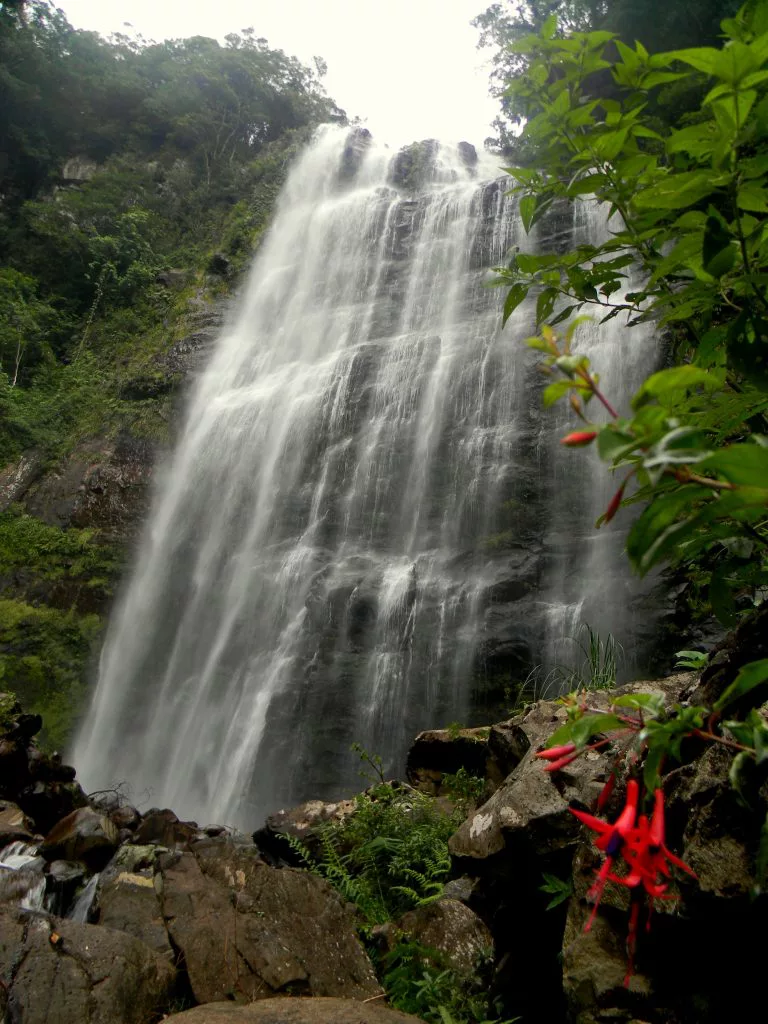 Cachoeira dos Borges