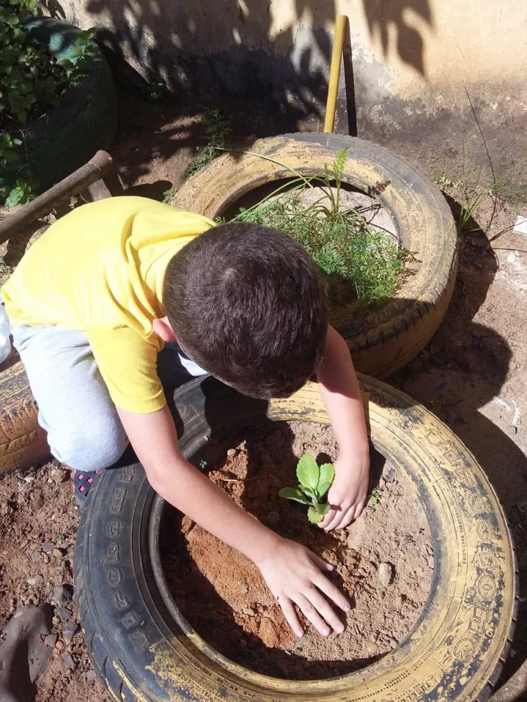 Educação ambiental nas escolas