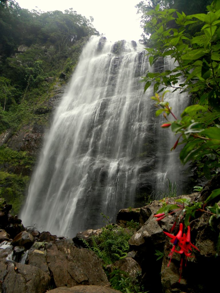Cachoeira dos Borges (1)