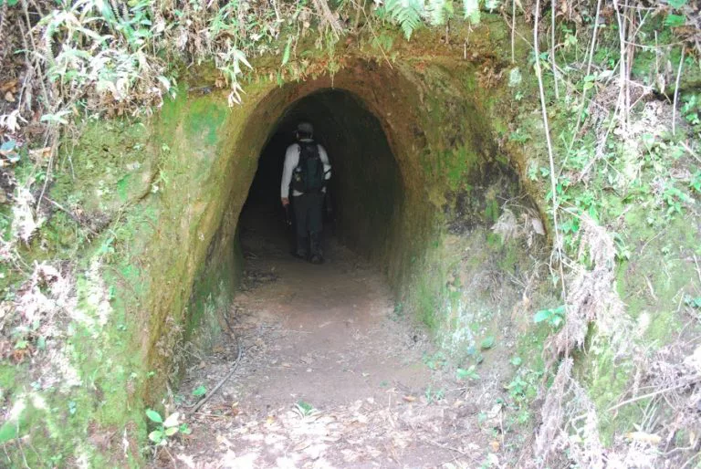 Paleotocas Xocleng 6 - Morro Grande (2)
